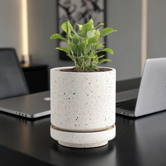 Xevon™ Terrazzo Self-Watering Planter - Modern Concrete Indoor Pot with Water Level Indicator