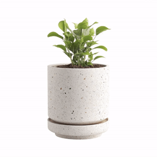 Xevon™ Terrazzo Self-Watering Planter - Modern Concrete Indoor Pot with Water Level Indicator