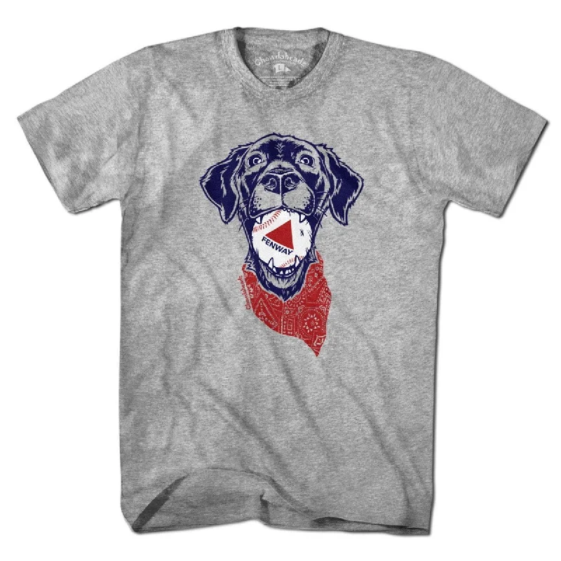 Fenway Dog T-Shirt